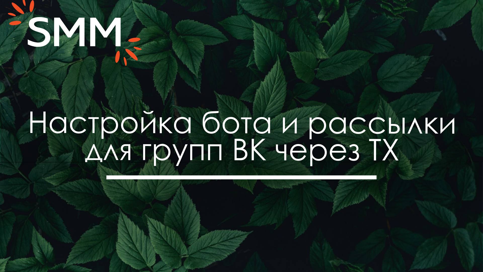 Настройка чат-бота и рассылки для ВКонтакте в сервисе ТХ - Анна Цхай