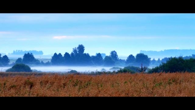 Село Новая-Романовка 2020г..От рассвета до заката.Panasonic G9 4k .