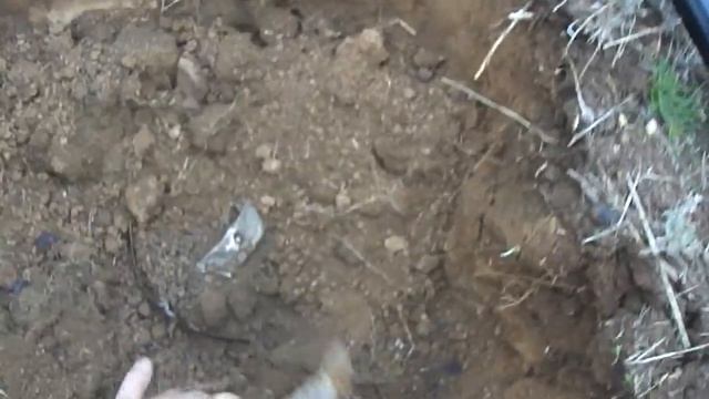 Excavation of german helmet M35, Stalingrad, October 2010