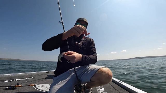 Trophy Walleye hunting with the Lowrance Active Target