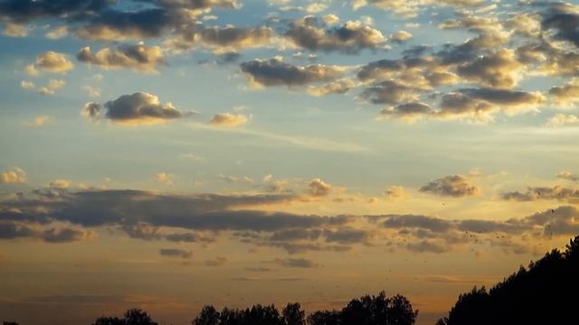 Вечерняя прогулка около Екатеринбурга | Evening walk near Yekaterinburg