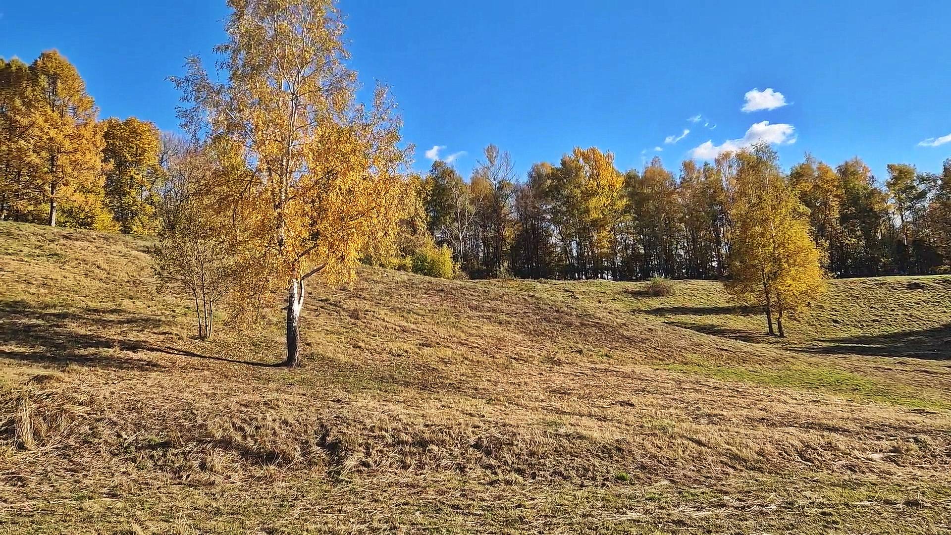 Расплескала осень краски