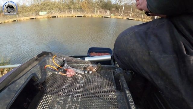 Winter Maggot Feeder Fishing / Eden Grange / In Session Coaching