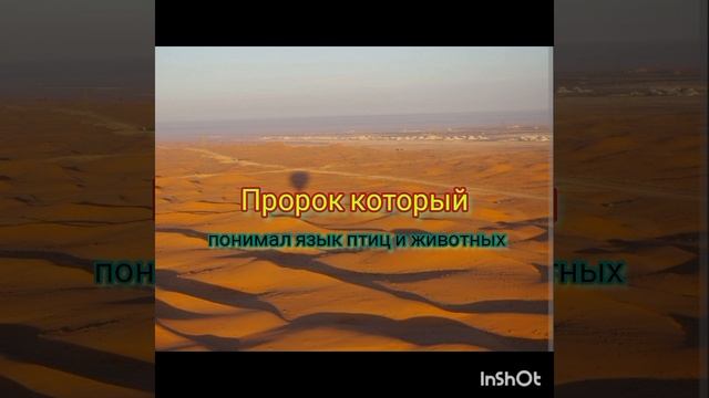 Все пророки в исламе 1/25