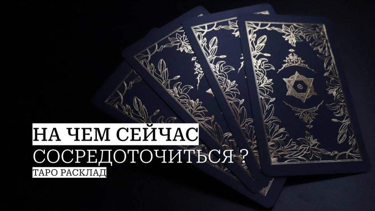 На чем сейчас сосредоточиться?