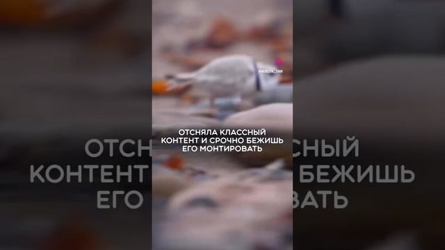 сняла, смонтировала, сразу побежала выкидывать иначе забудешь )