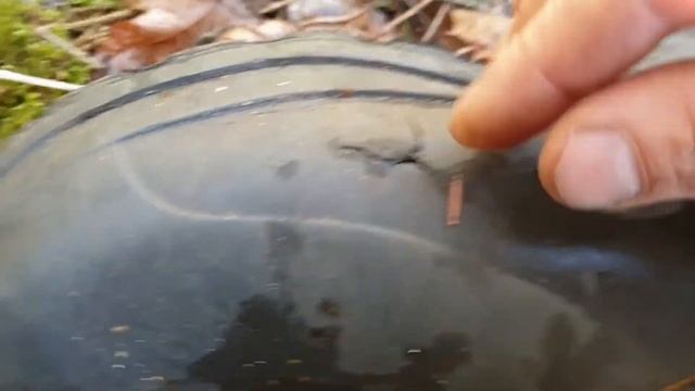 ПВД пеший туризм, Псковская обл. 2020
