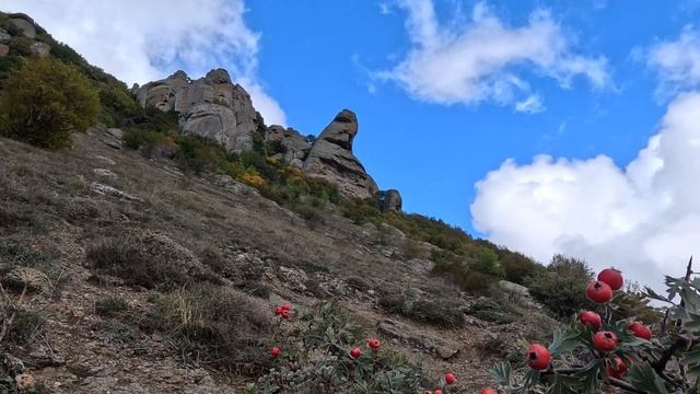 ПРИКЛЮЧЕНИЯ ШУРИКА В КРЫМУ. Кавказская Пленница. ВЫЖИТЬ в ДИКОМ ЛЕСУ БЕЗ ЕДЫ  МОЯ БОЛЬШАЯ ОШИБКА.