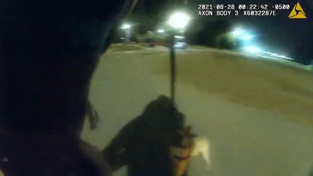 Nikkita Brown video: Bodycam shows Chicago cop confronting Black dog walker