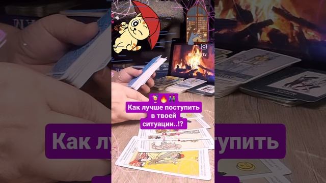 🌺♥️🥂 общий расклад на картах Таро!🍀🎁❤️