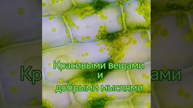 просто красивое видео.