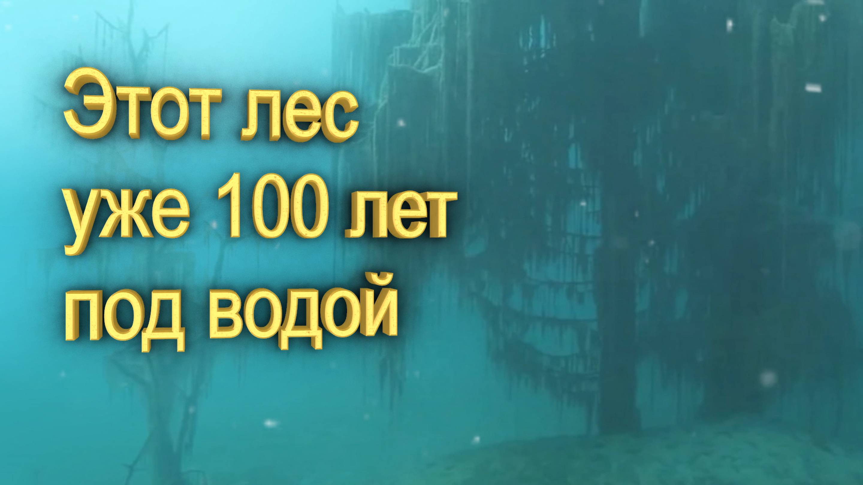 В этом месте 100 лет назад лес ушел под воду - озеро Каинды