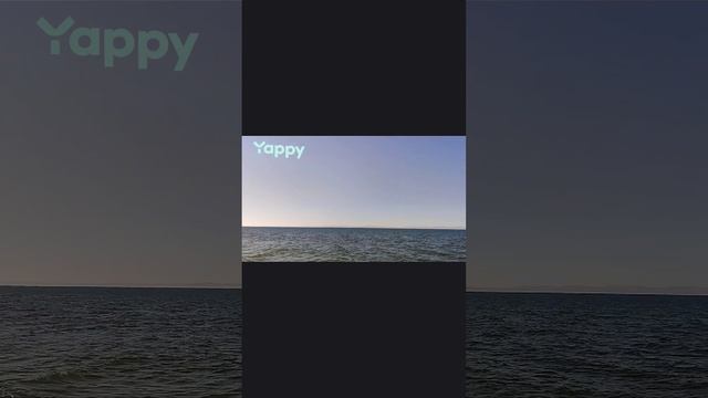 Видео с моего канала на Яппи yappy_download_29419303d2ea4407a73454790e52e35d