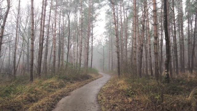 Александр Дугин - Бритва Оккама