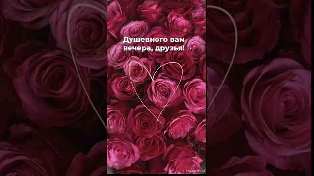 Вам желаю красивого вечера ♥️♥️