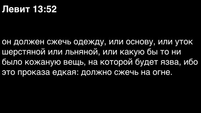 День 30. Библия за год. Книга Левит . Главы 12-14.