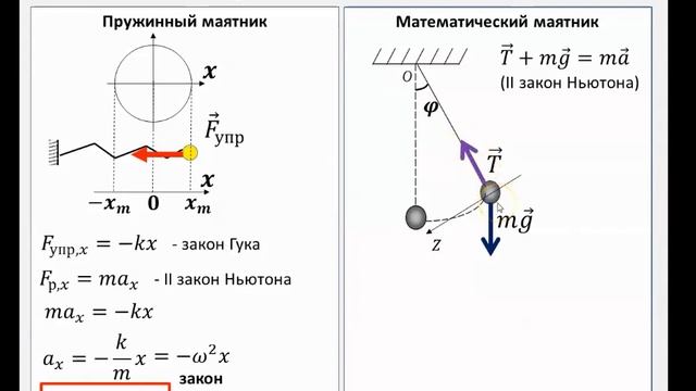 Рассмотрение темы: "Закон гармонических колебаний" #самара #школа #физика