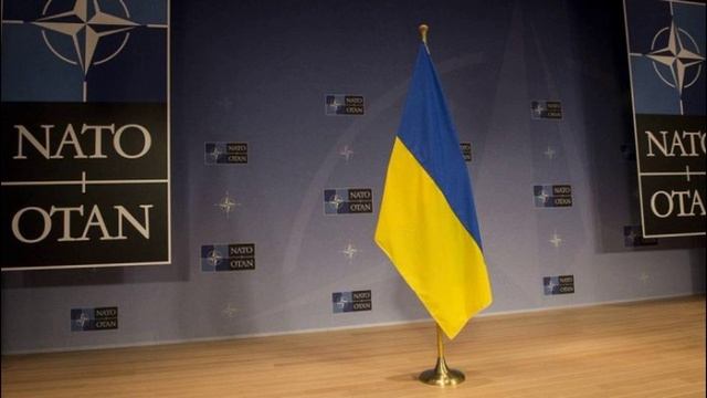 Украину тянут в НАТО хоть тушкой, хоть чучелом