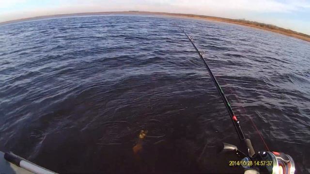 Fishing in Belarus. Palik Lake. Baby Buster. POV.