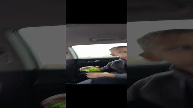 как Я еду на машине с сестрой в тарханы