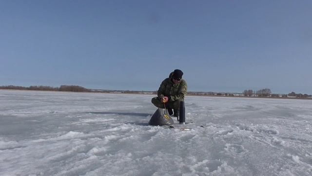 РАЗДАЧА РЫБЫ! Последний лед 2024! Рыбалка весной со льда! Лещ, плотва