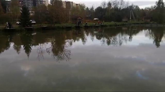 Утро на водоёме 06.10.2024г.