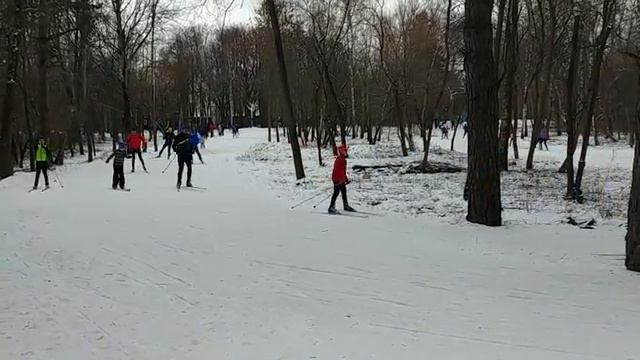 25 ноября 2018 - Лыжные тренировки на трассе "Волкуша"