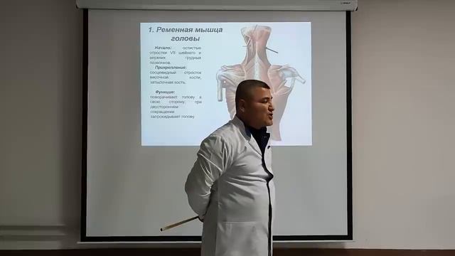 Эдгар Кафаров -Мышцы спины _ Back muscles