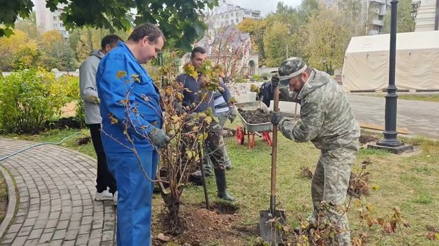 Осенние работы в Раевском саду.Посадка аллеи из смородины,семейных деревьев.Огородные работы.