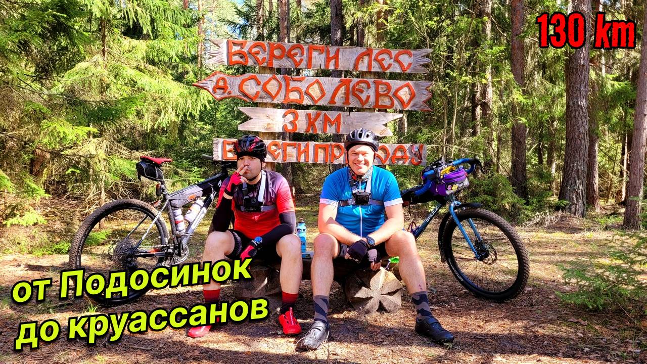 От Подосинок до круассанов | 130 км
