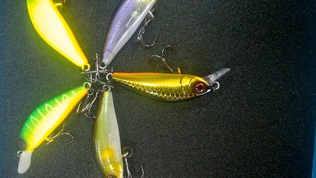 Chubby Minnow 35