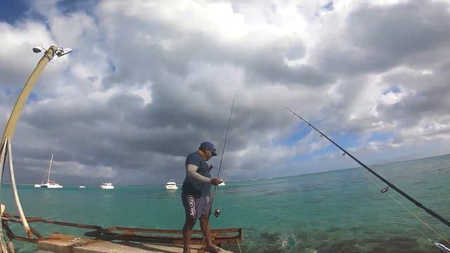 LIGHT Tackle FISHING in MAURITIUS. MULTIPLE FISH SPECIES CAUGHT!