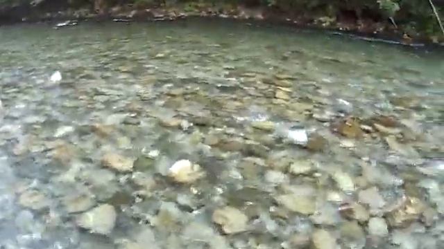 spinning trout Moraca river