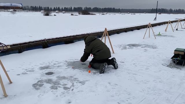 Поимка на форелевую пасту