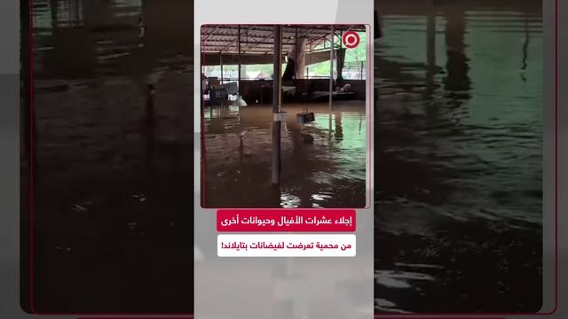 بيروت تحترق.. ليلة عنيفة من الغارات الإسرائيلية على الضاحية الجنوبية