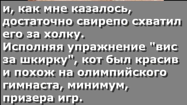 Чербелоидный подкаст #121 - Хохлатый свиноконь и очки