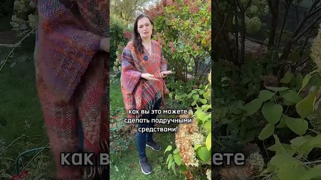 Где вы берете ТАКИЕ вопросы?! Яблоня, чеснок И ПИЦЦА