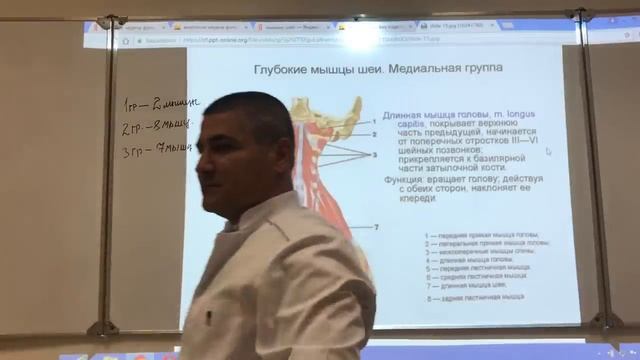 Эдгар Кафаров -Анатомия шеи _ Anatomy of the neck. Мышцы, треугольники и фасции шеи