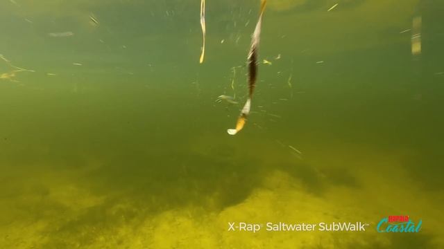 Walk-the-dog under the surface with The Rapala® X-Rap® Saltwater Subwalk™