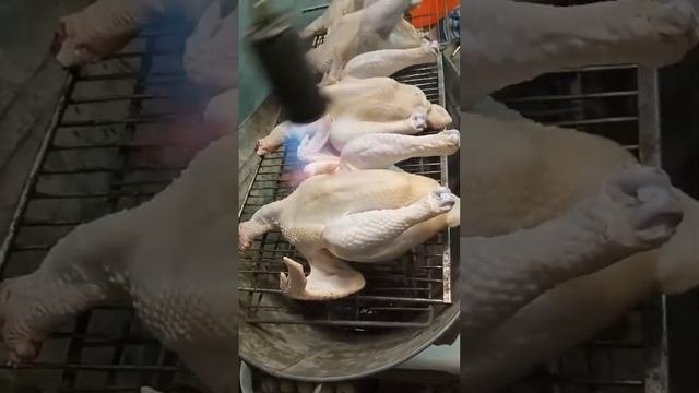 Суповые петушки chicken еда food