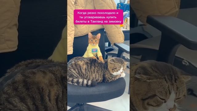 Ты знаешь кому это отправить 😉