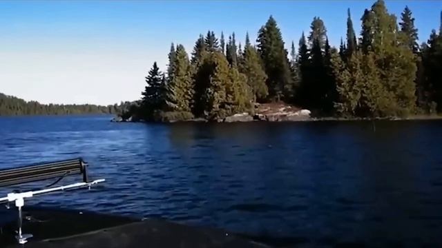 самые страшные видео.