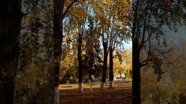 Парад Осени