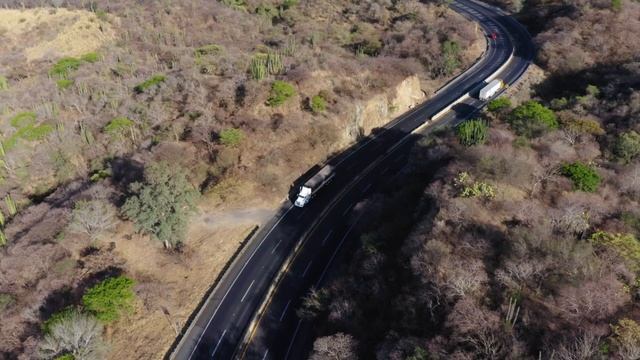 Transport trucks gliding over black asphalt road among arid vegetation