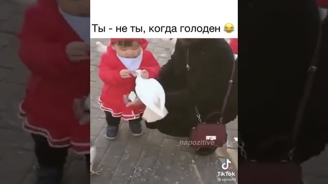 video_3621628089614.mp4 не пропадёт