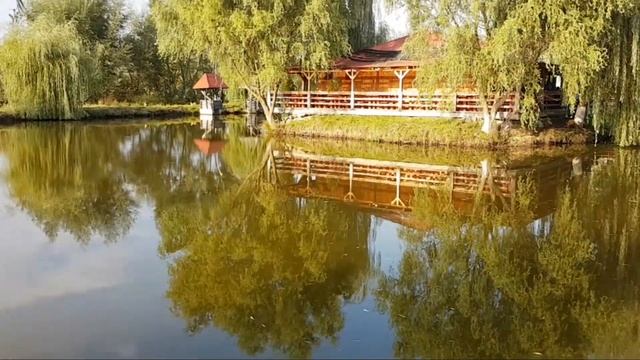 Balta Moțului - Bihor