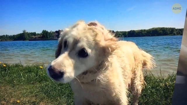 Природные явления, доказывающие, что Земля не такова, какой кажется