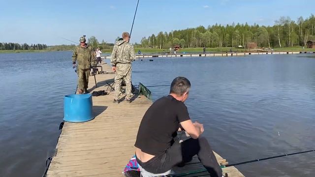 Сырная паста на пассивной снасти для форели