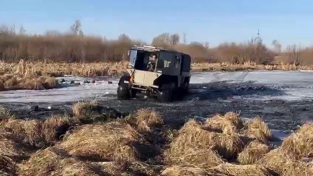 Вылазка на болотце с Кайманом. В следующем видео большой обзор.