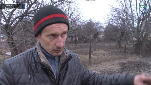 Украинцы о приеме сирийских беженцев. Опрос